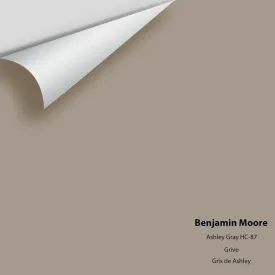 Benjamin Moore - Ashley Gray HC-87 Colour Sample