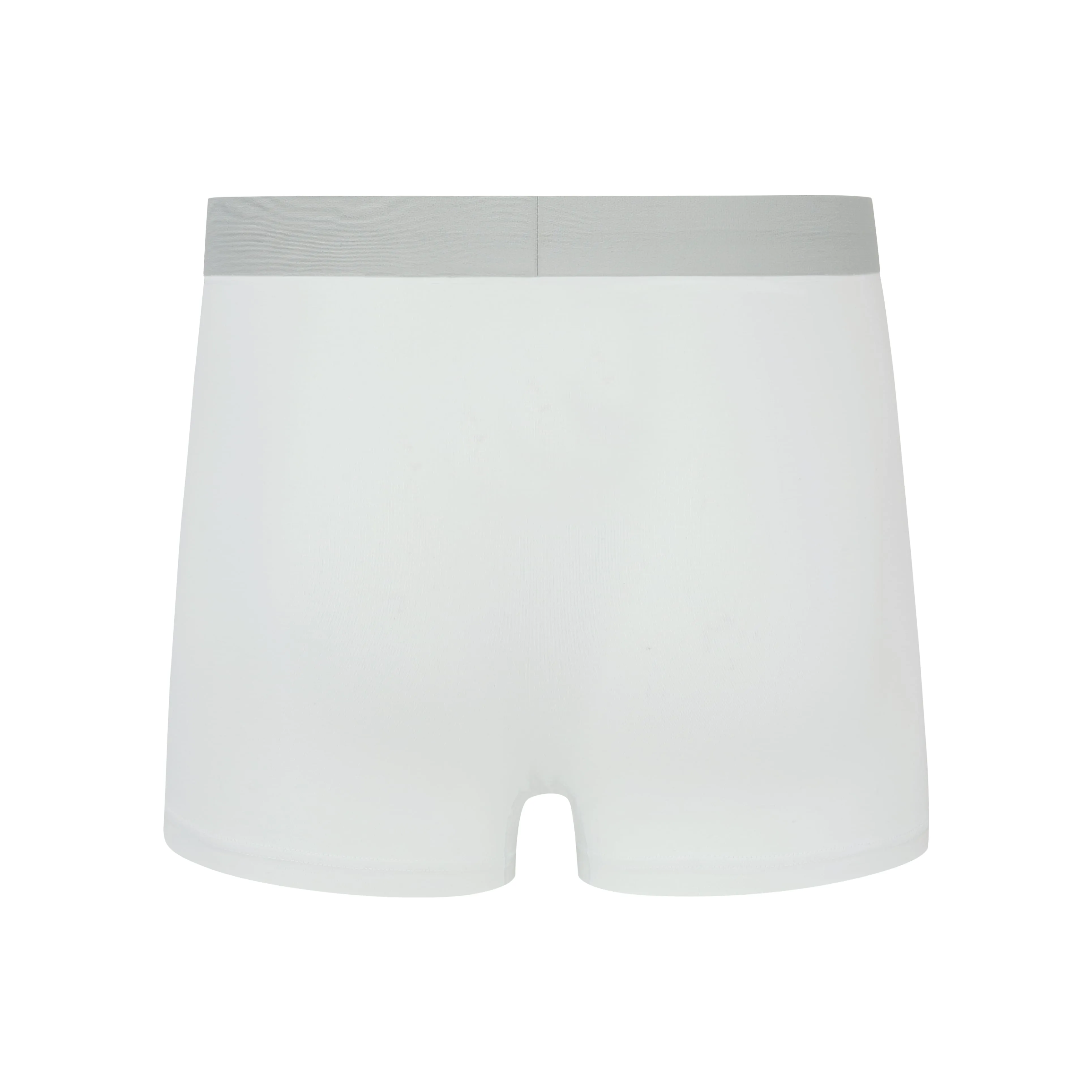 Men's Cotton Modal Brief