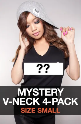 Mystery V-Neck 4-Pack - Small (Women's V-Neck Tees)